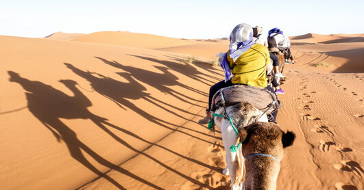 Desert safari Dubai deals
